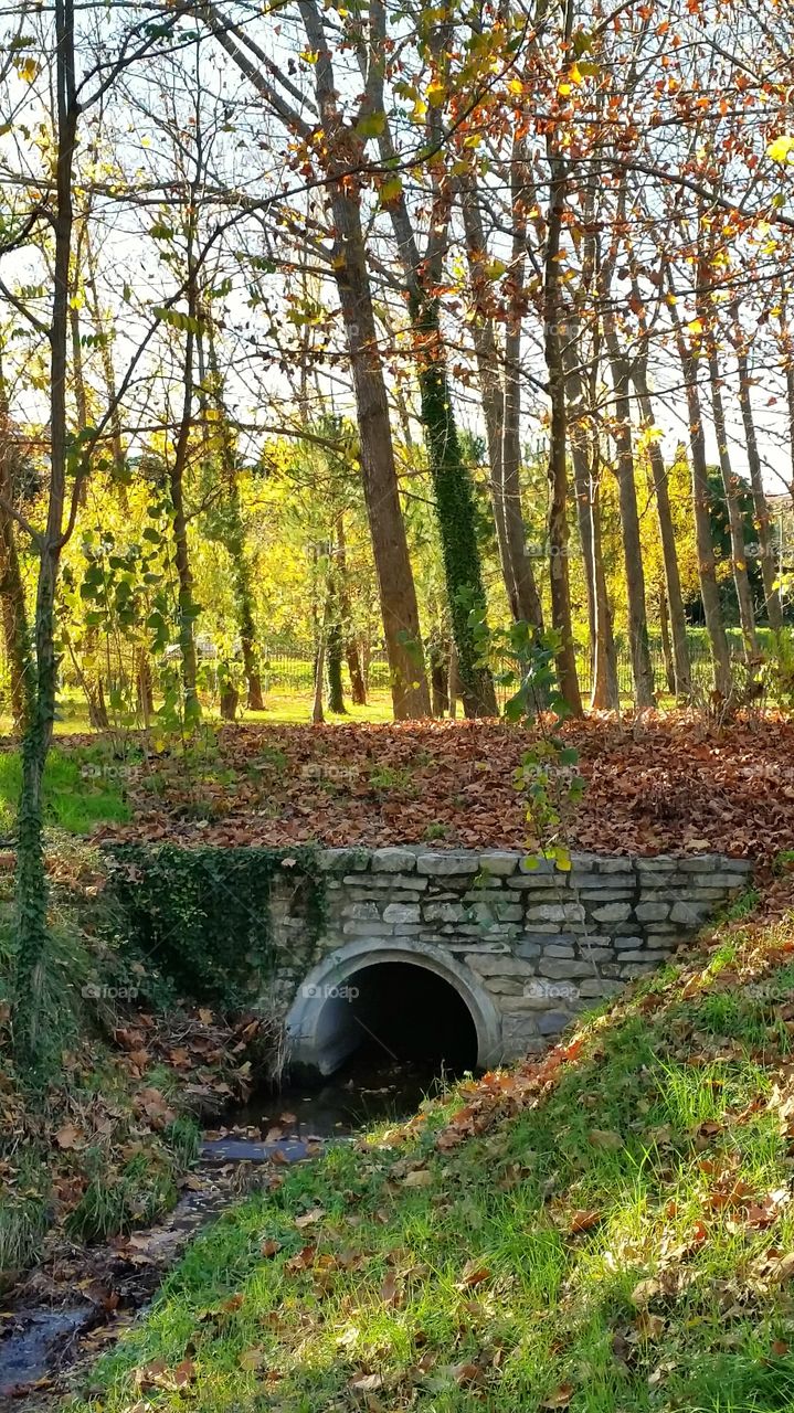 water tunnel in a park