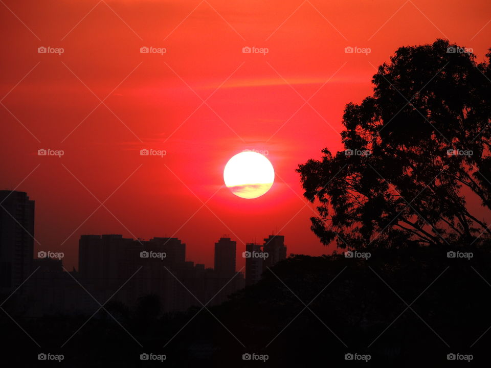 Sunset, Dawn, Silhouette, Evening, Sun