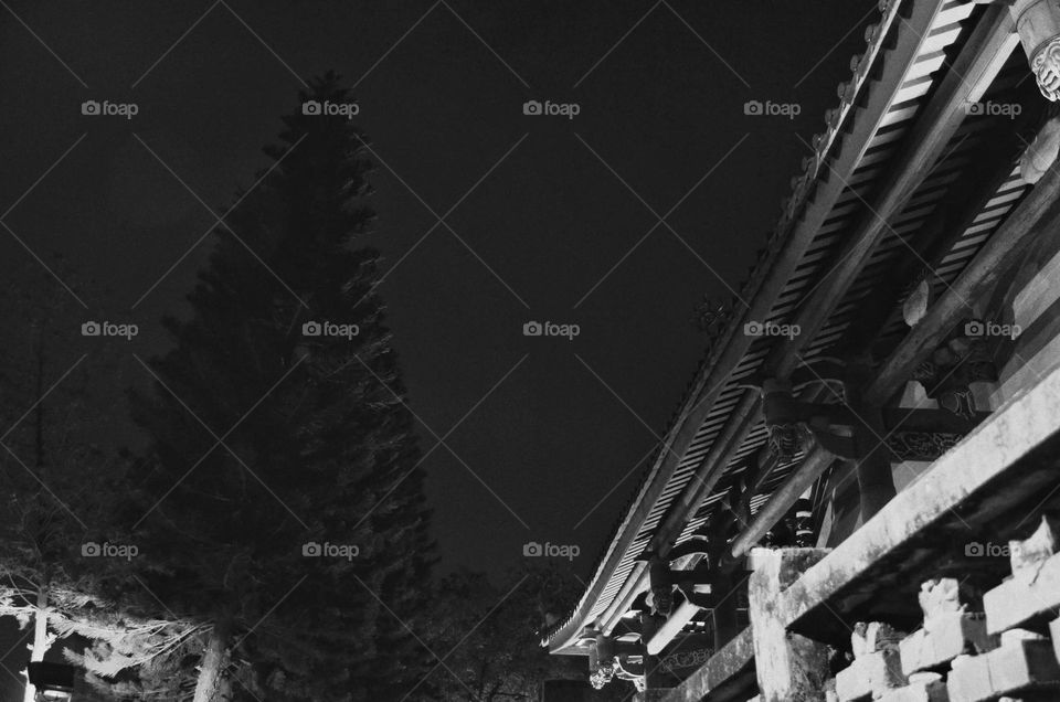 Architecture in black and white 