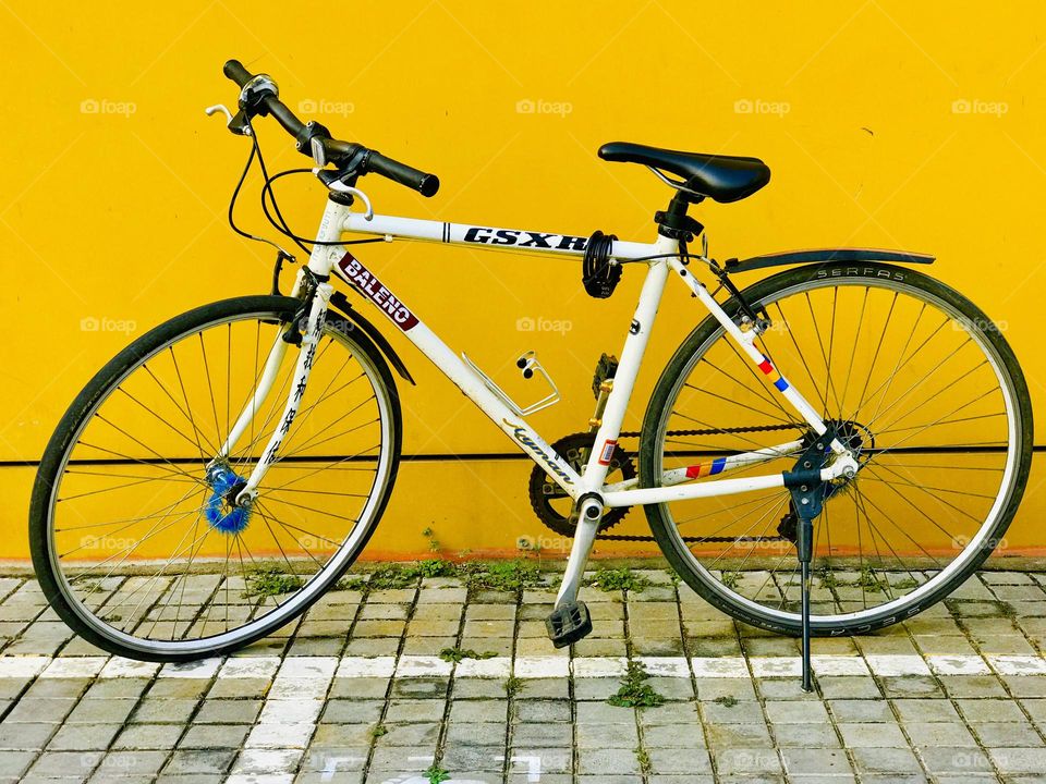 Two wheels, one love!🚲