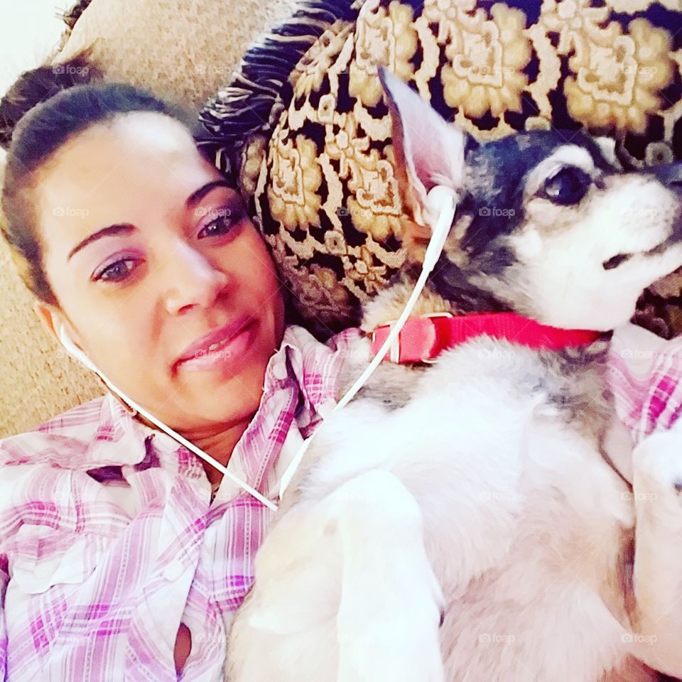 dog 
family cute little