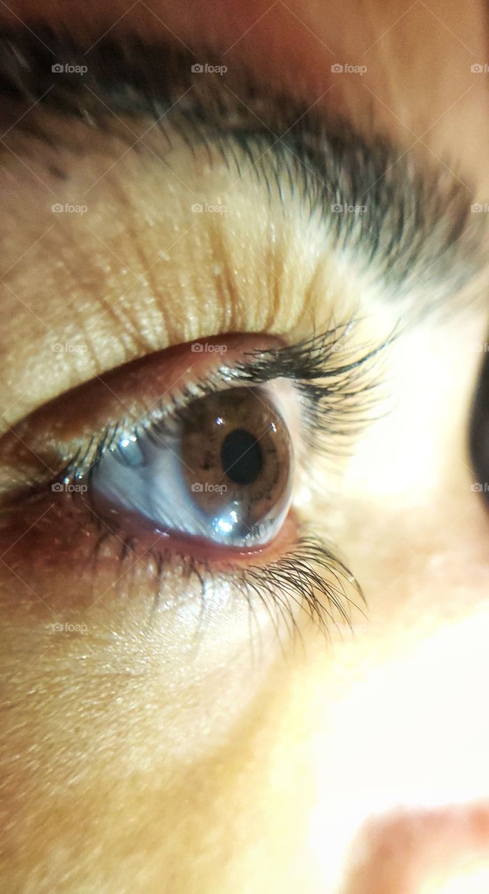 beautiful brown eyes