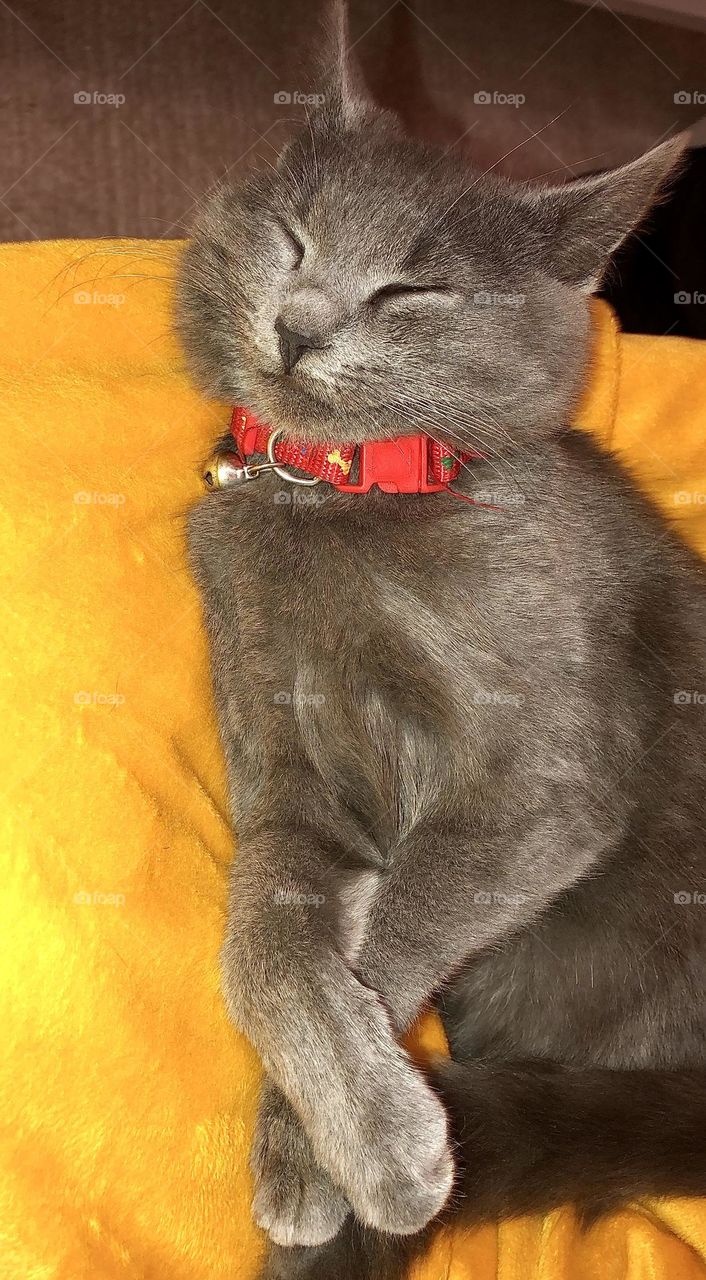 Is there anything sweeter?🤭