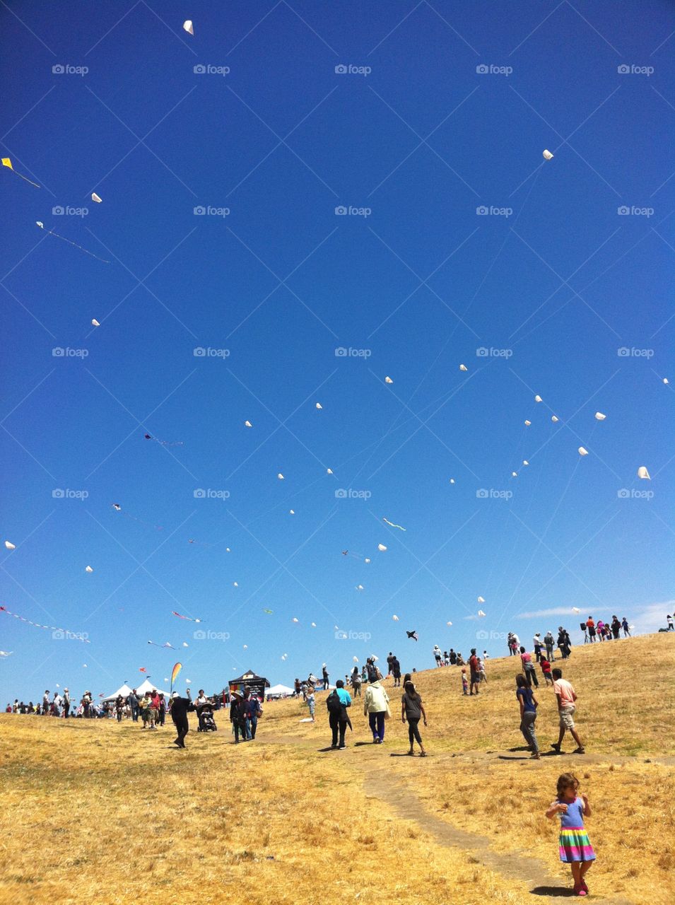 Kite festival. UC Berkeley 2014