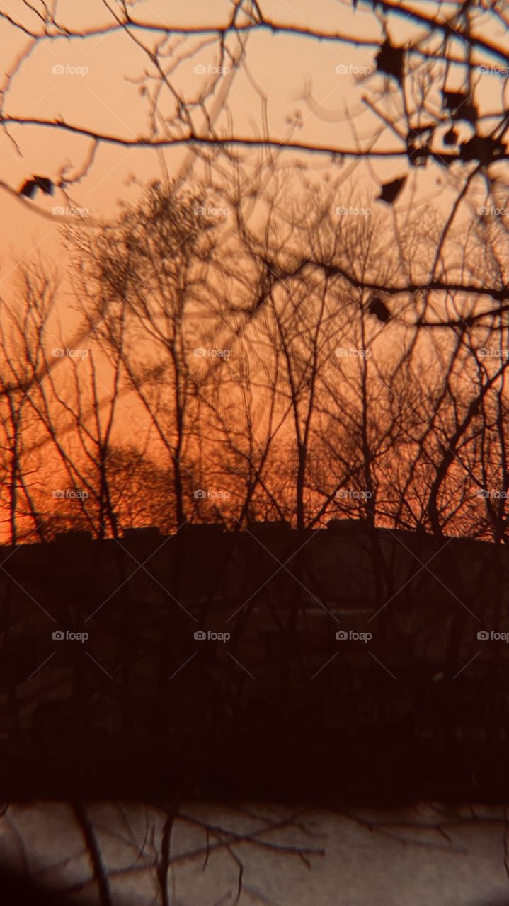 Early Evening pic enormous clarity and color. Powerful sunbeams thick bright full of energy. 