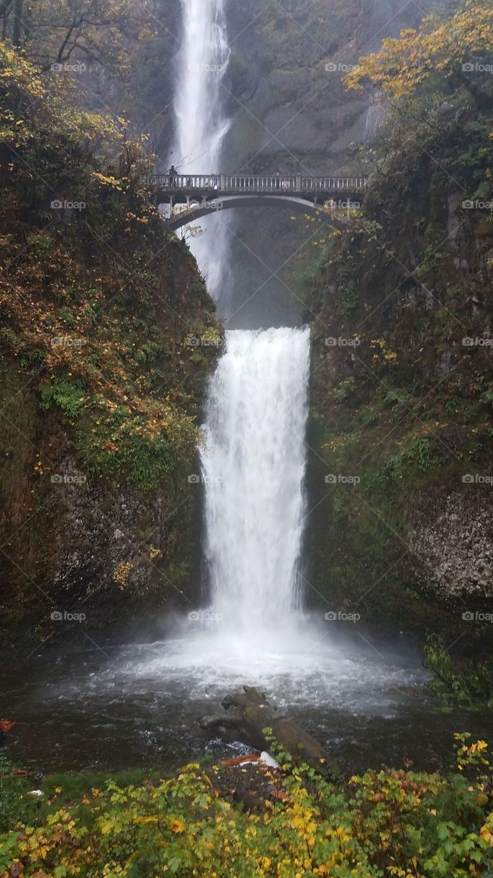 Multnomah fall en otoño