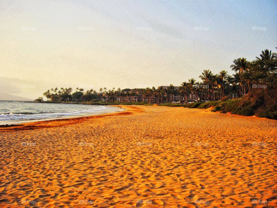 Long Sandy Beach In Hawaii
