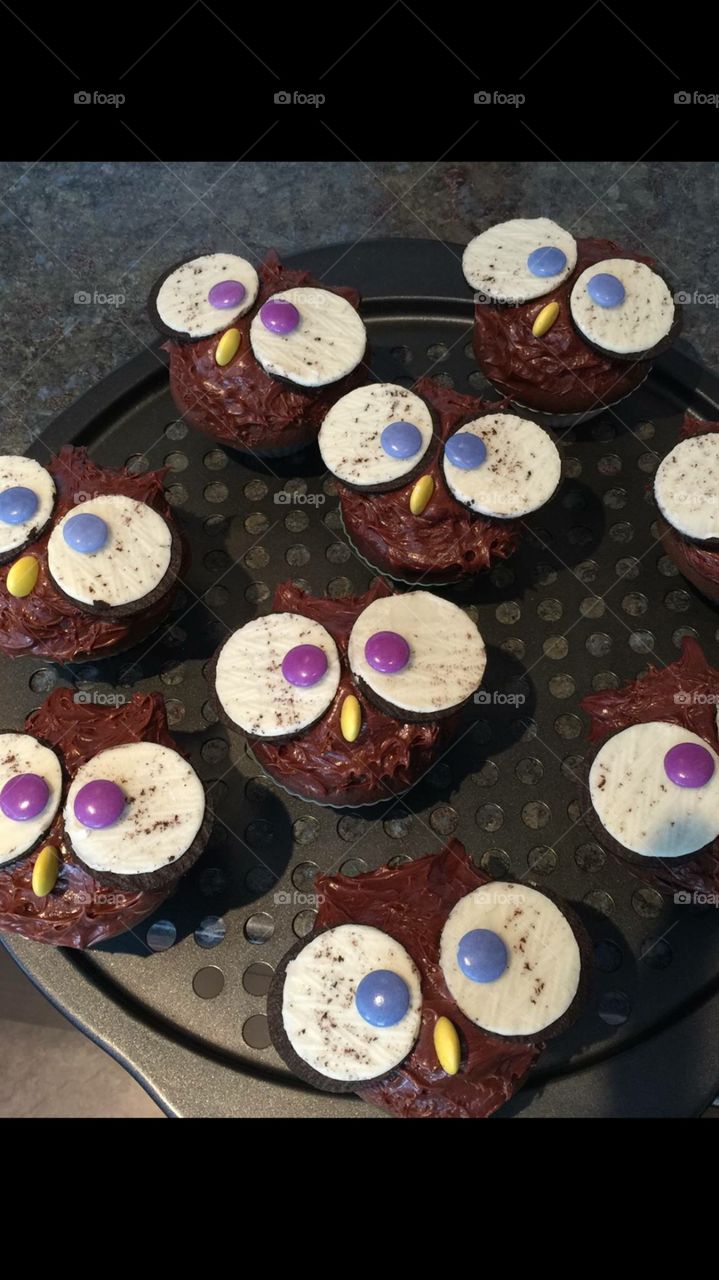 Owl birthday cupcakes
