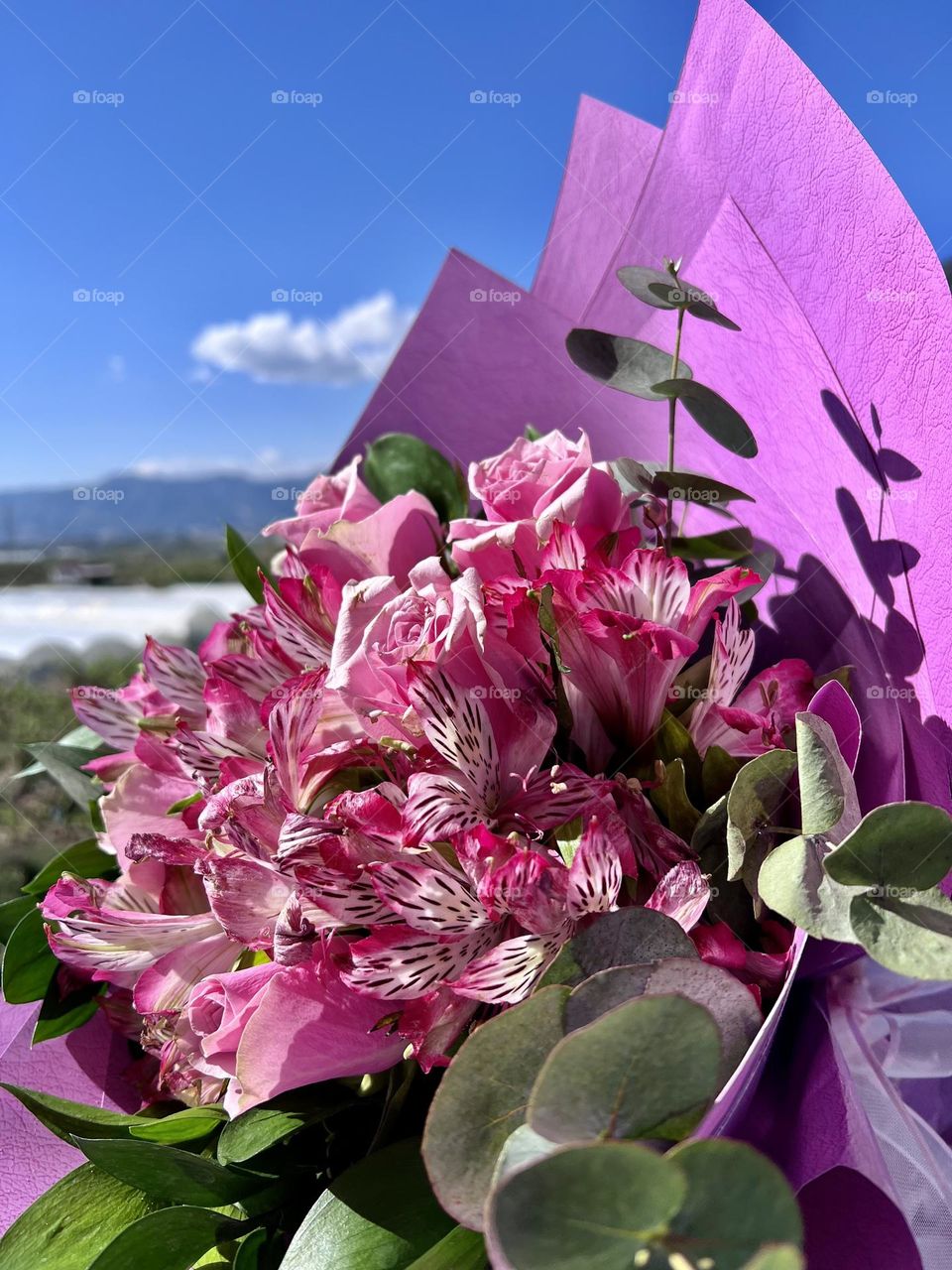 "Sometimes feelings are like a flower - it takes time to bloom."