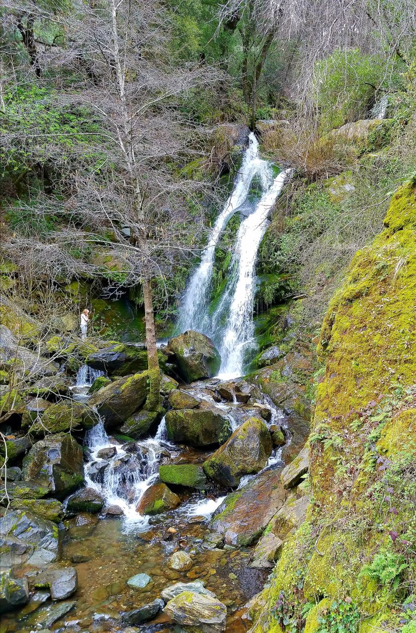 Little waterfall in the foothills