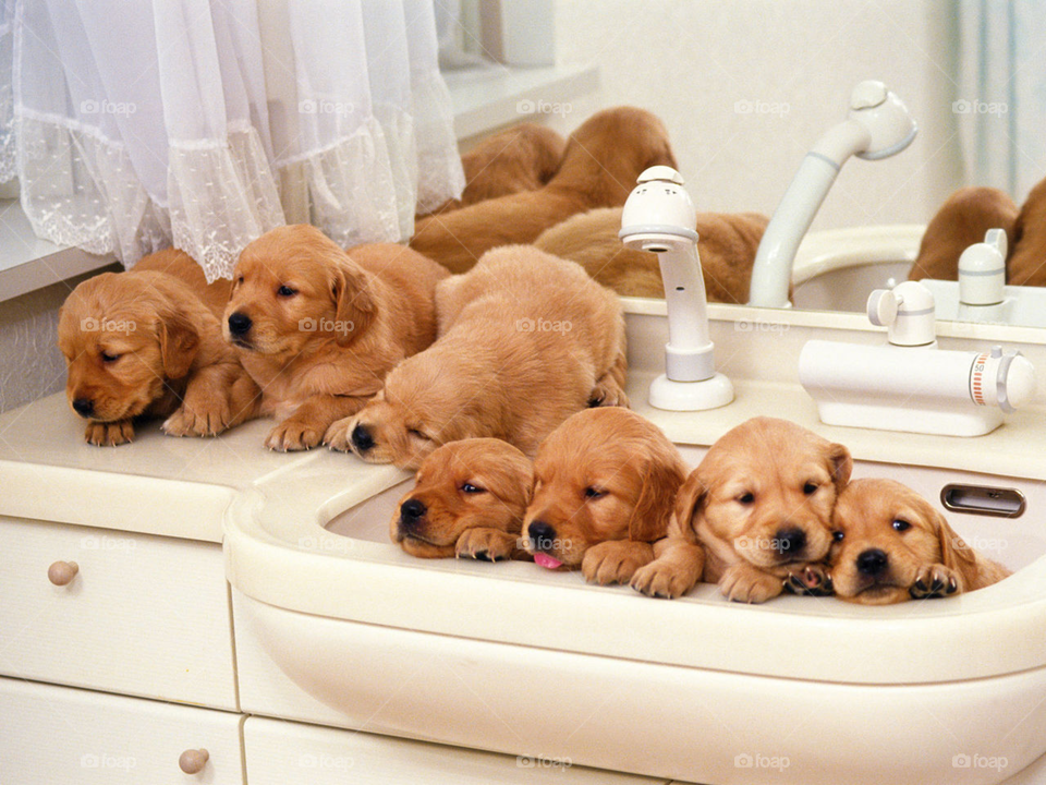Line up to take a bath