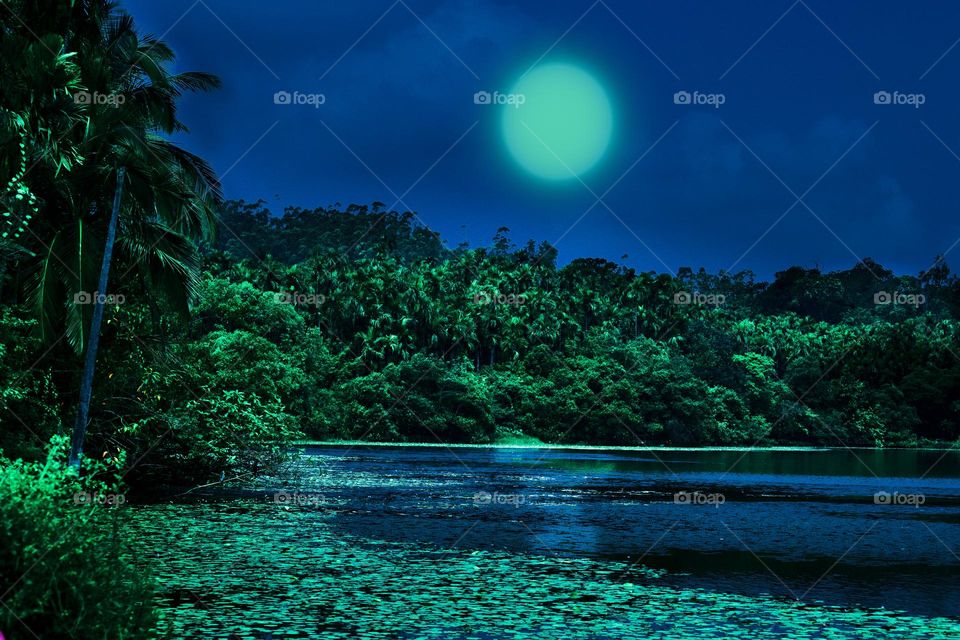 A beautiful moon light