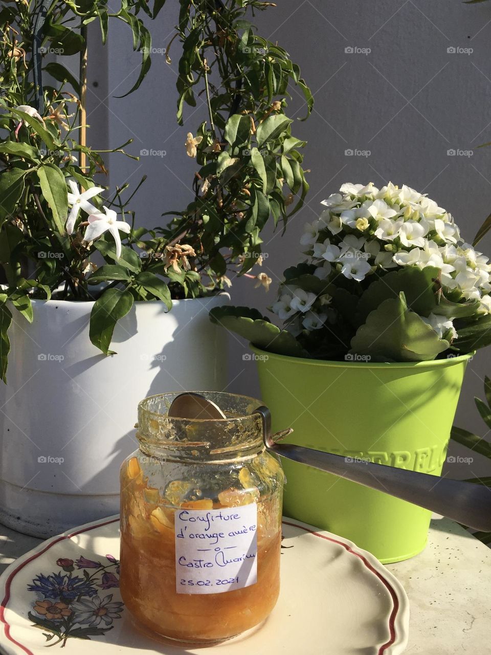 Balcony plants for Earth day 