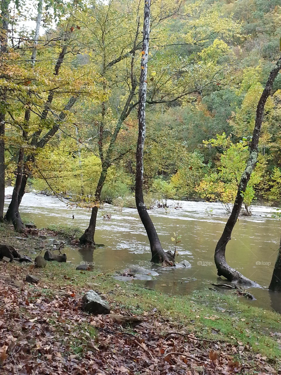 creek. creek levels rising in Pipestem WV 