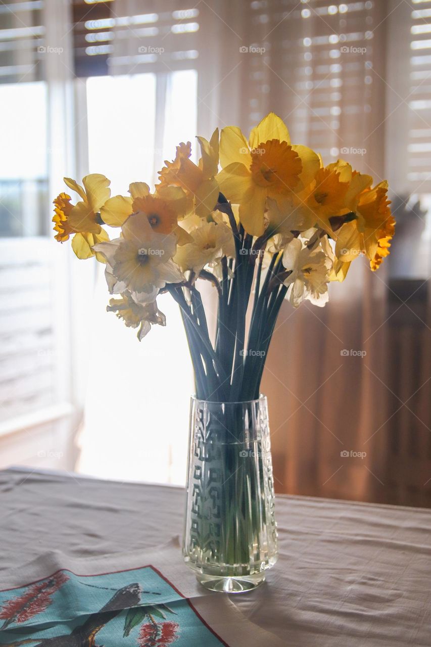 Narcissus flowers in a vase