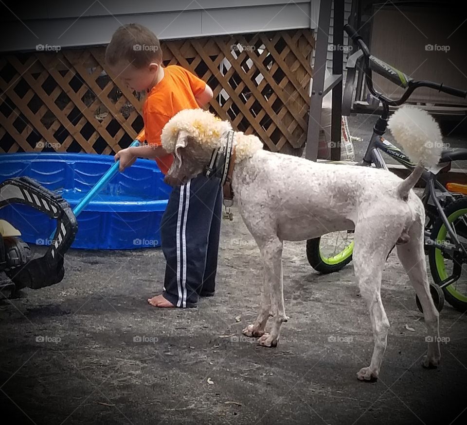 a boy and his dog