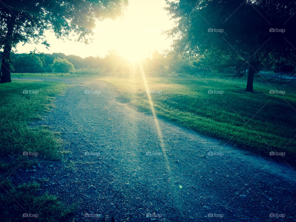 Morning Rays