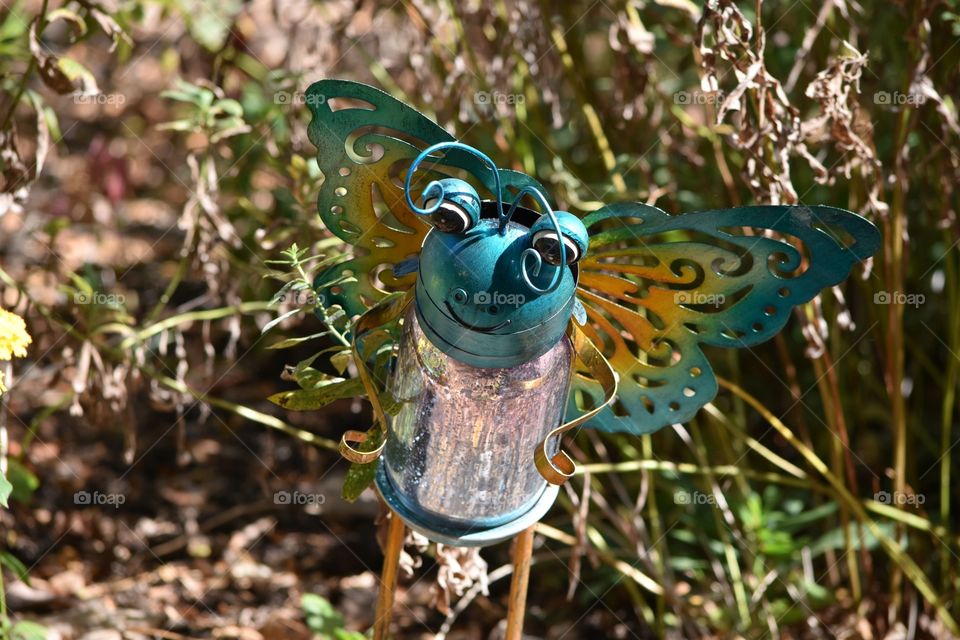 Crafty Butterfly 