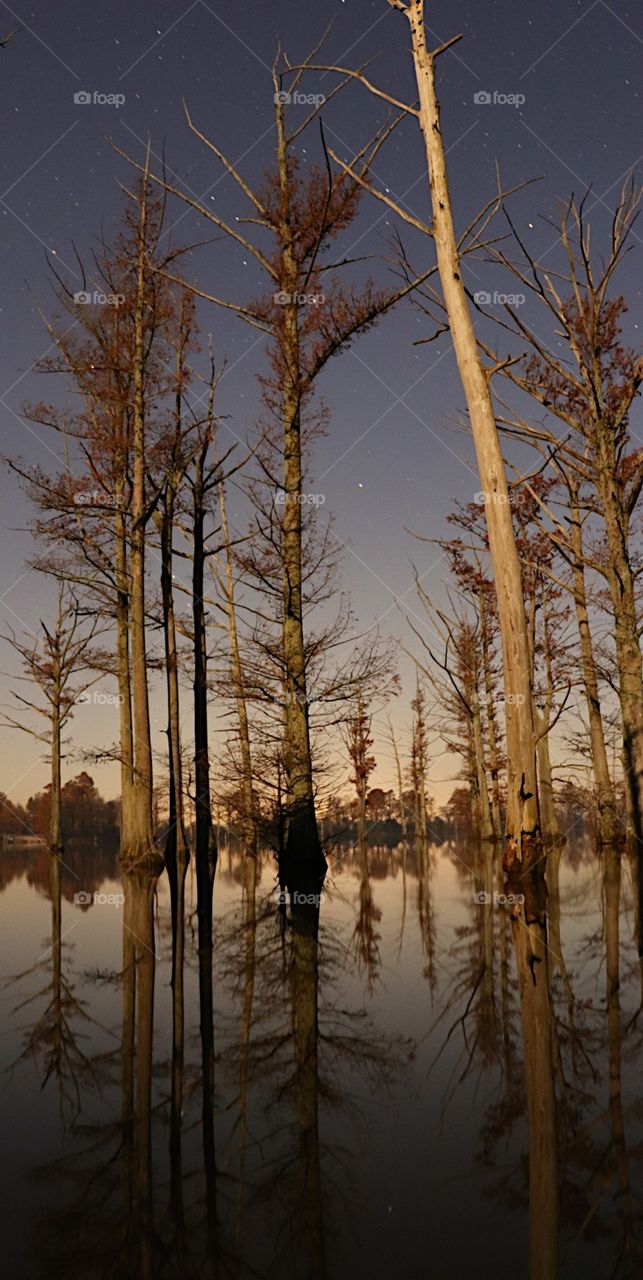 Lake reflecting at night