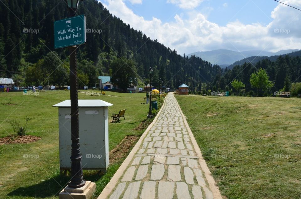 footpath