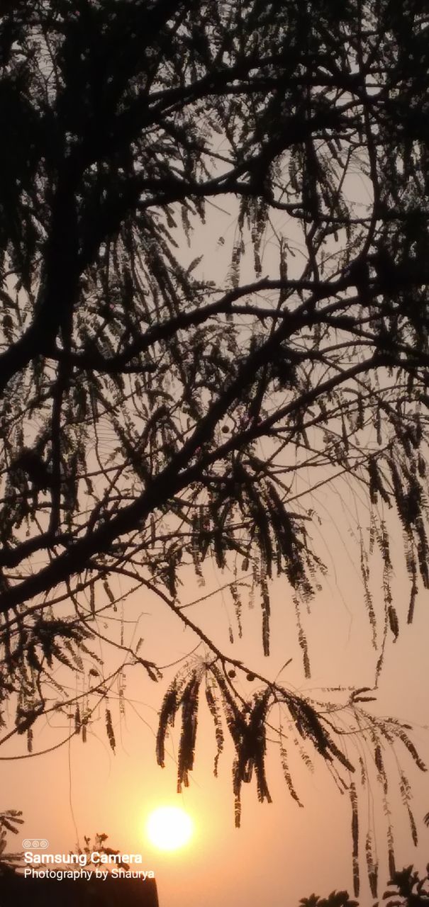 Nature of India