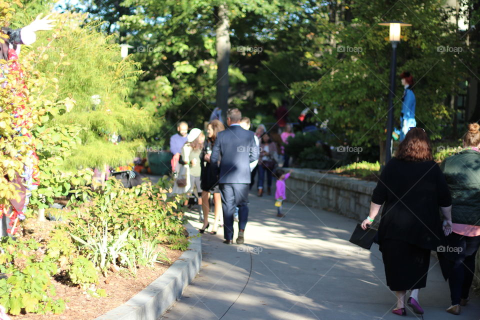 Atlanta urban park where people are walking on trail way leading to beautiful botanical garden exhibits and park area 