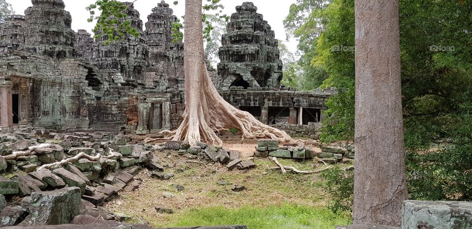 Nature come back to Cambodia siam reap