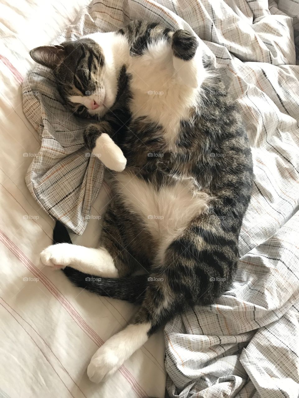 Taking turns on the bed