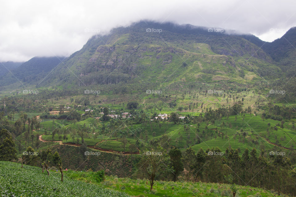 Beautiful  nuwara eliya, Srilanka
