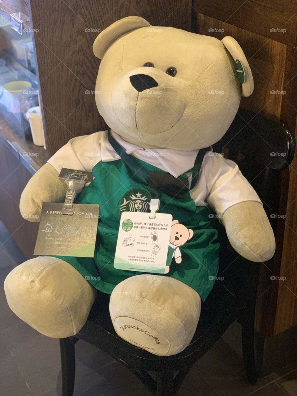 Starbucks large teddy 