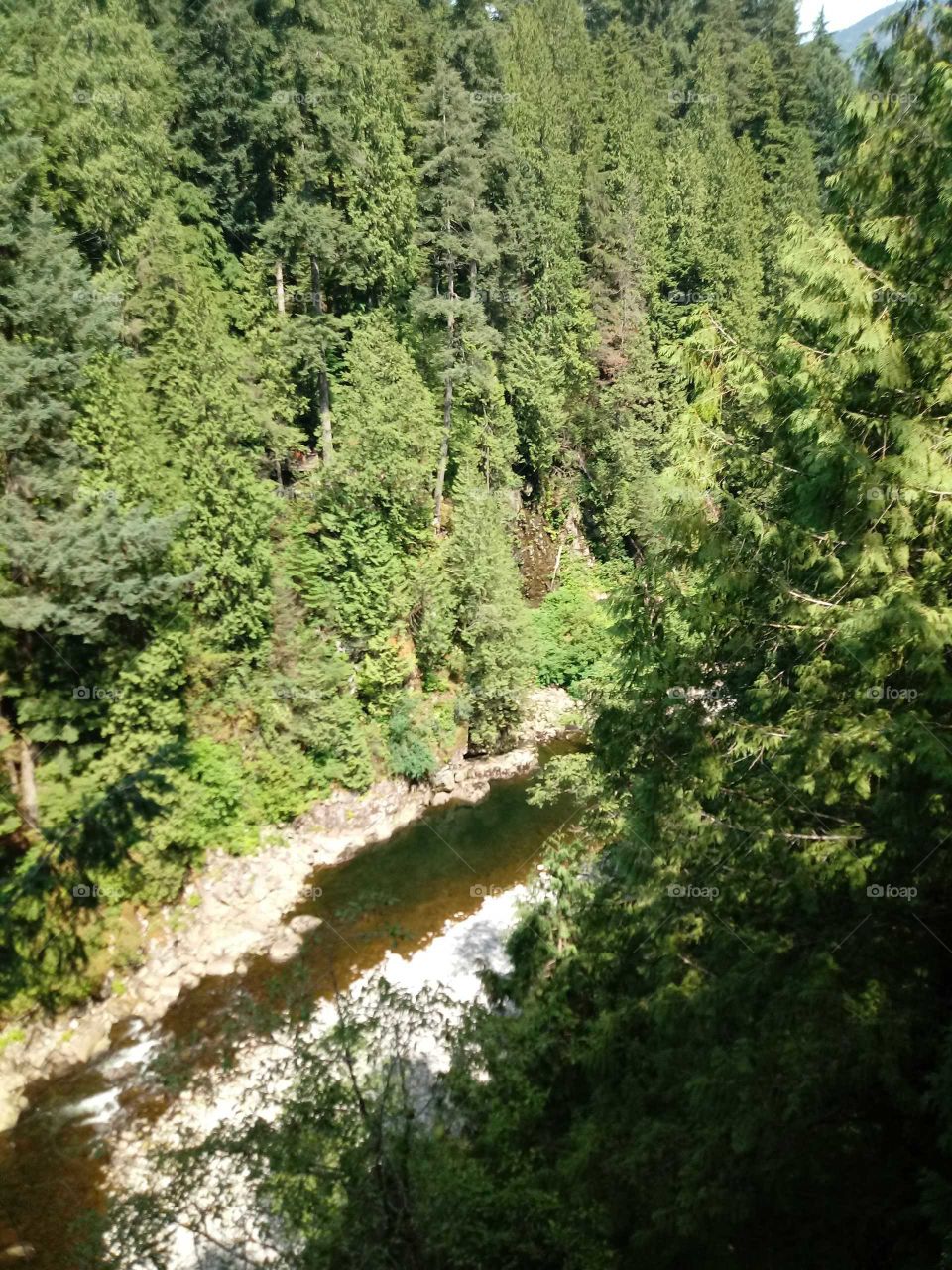 capilano river