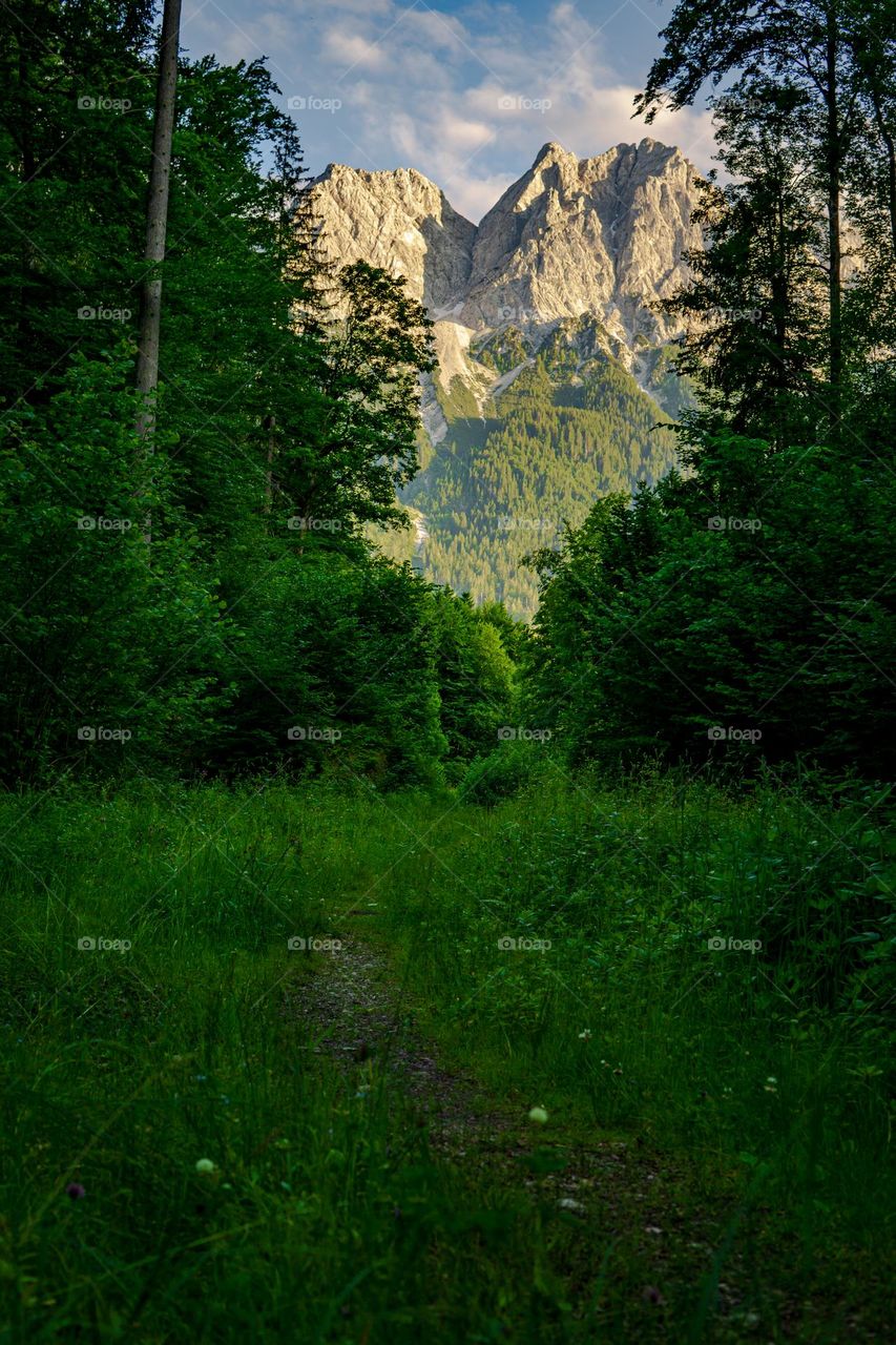 Zugspitze View