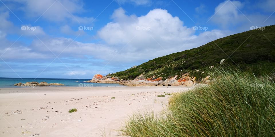 Three Hummock Island State Reserve, Tasmania 4