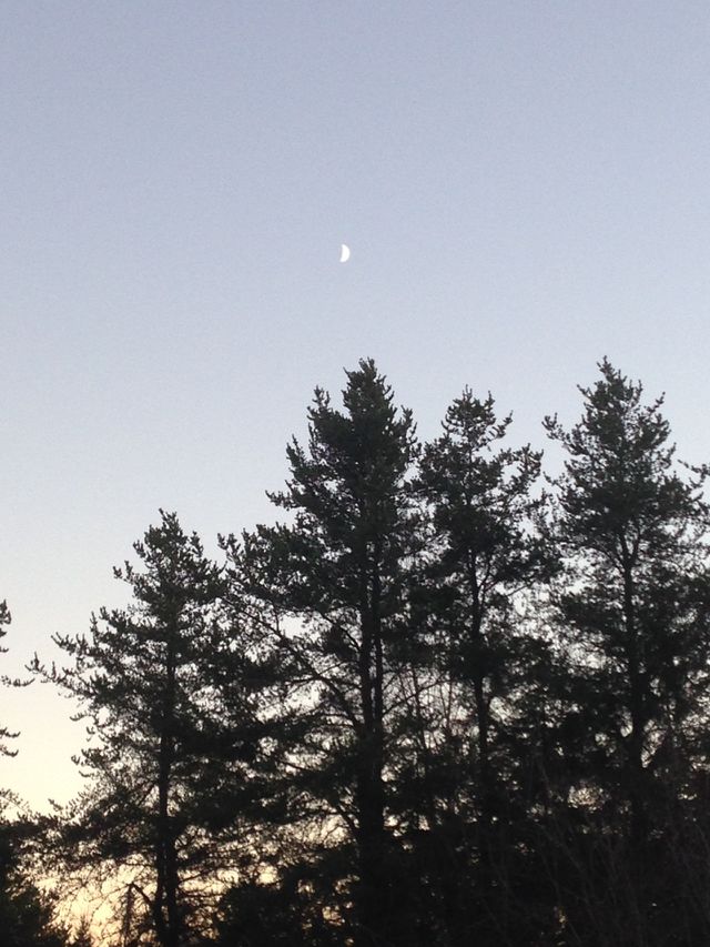 Moon on the farm