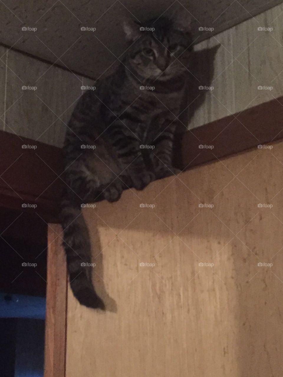 And you said I couldn’t get up here?