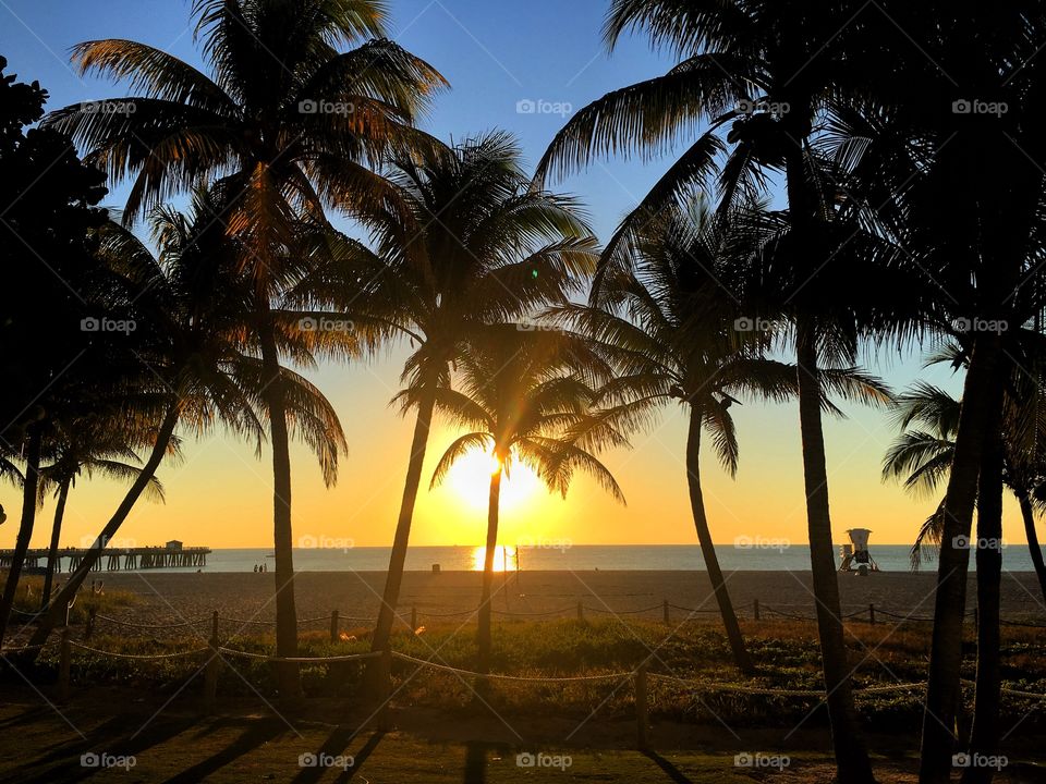 Beach, Sand, Tropical, Sun, Seashore