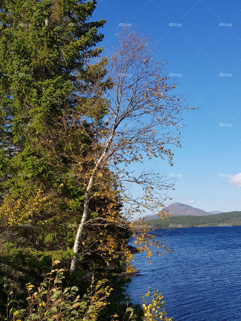 land and waterscape