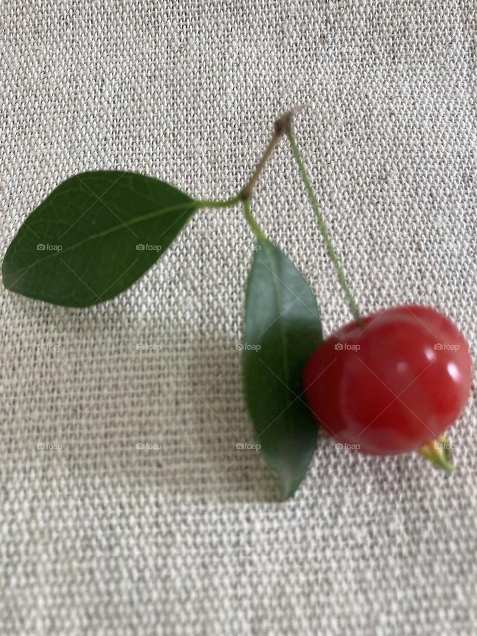 Galho com fruta e folhas de pitanga sobre uma mesa coberta tecido de cor crua.