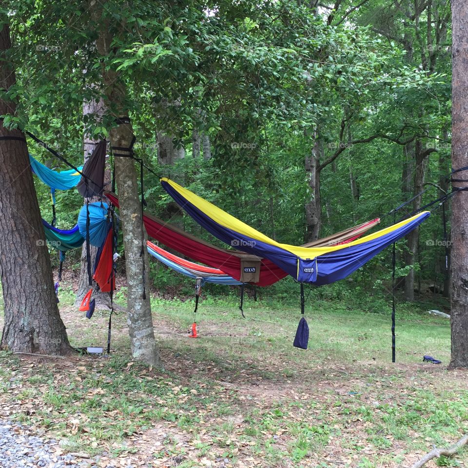 Hammocks in trees