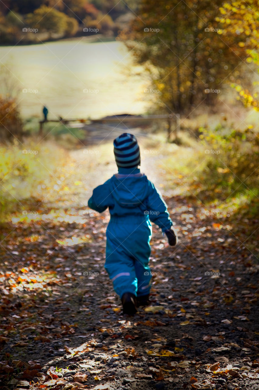 Enjoying the fall. Walk in the forest