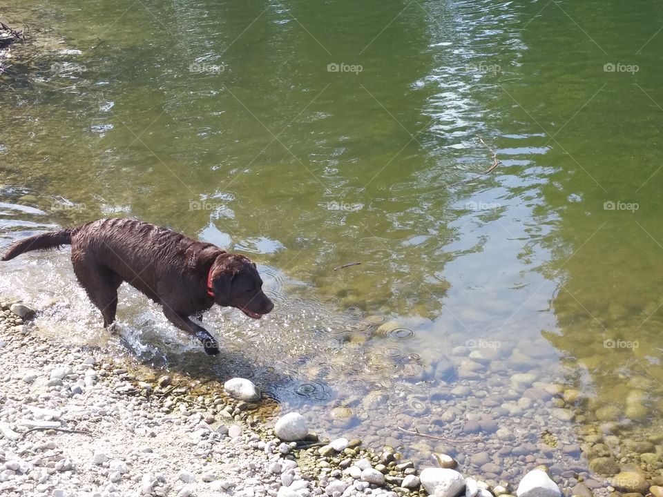 playing in the water
