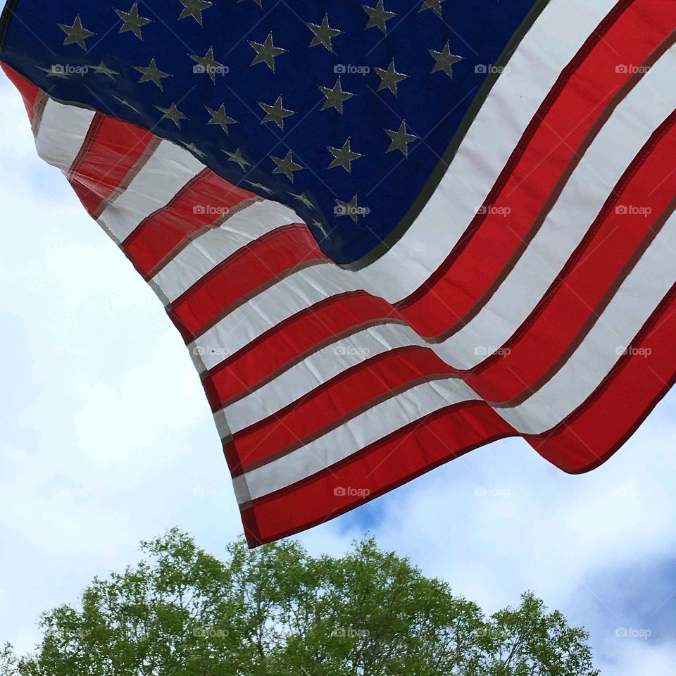 American Flag waving in the wind. Daylight with cloudy sky and top of tree in background.