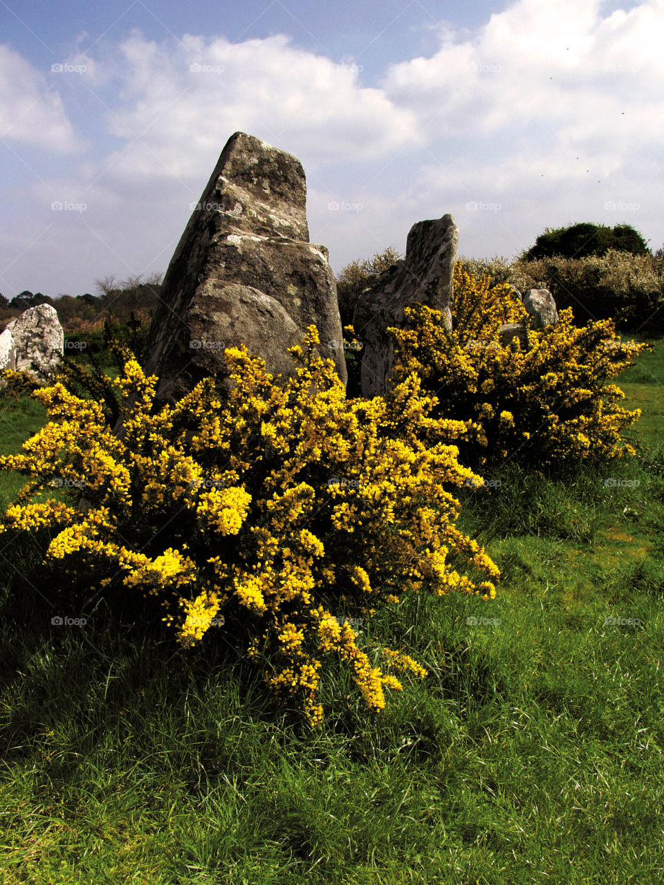 Carnac