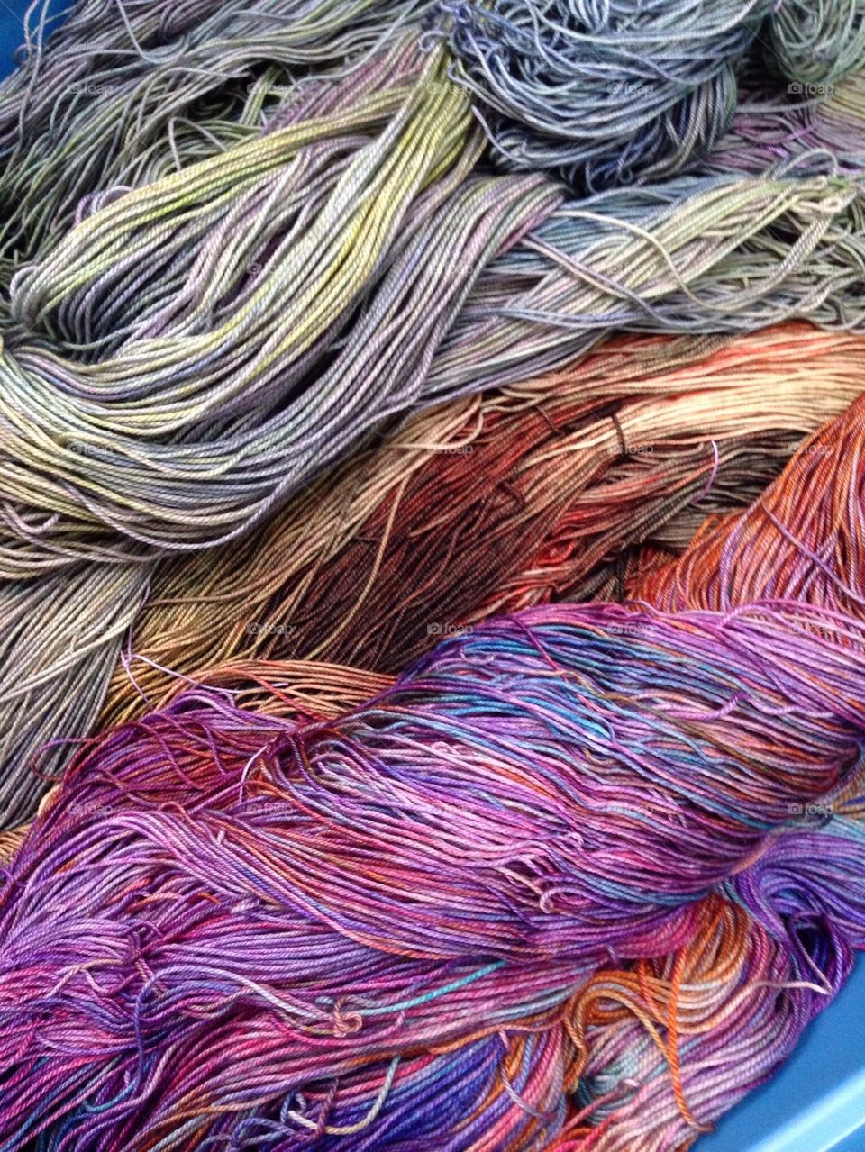 Hand- dyed yarn, waiting to be twisted into hanks.
