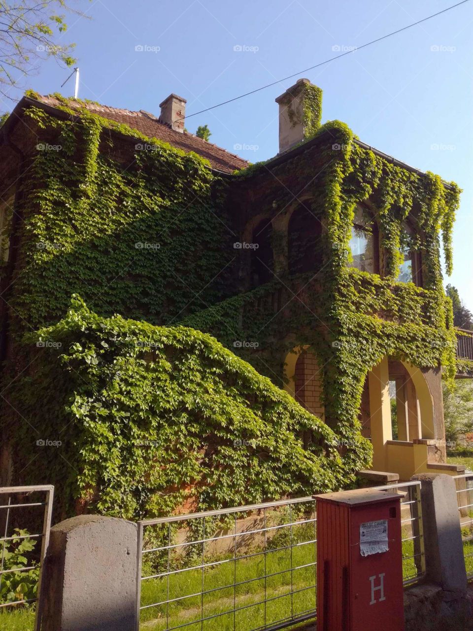 house in green