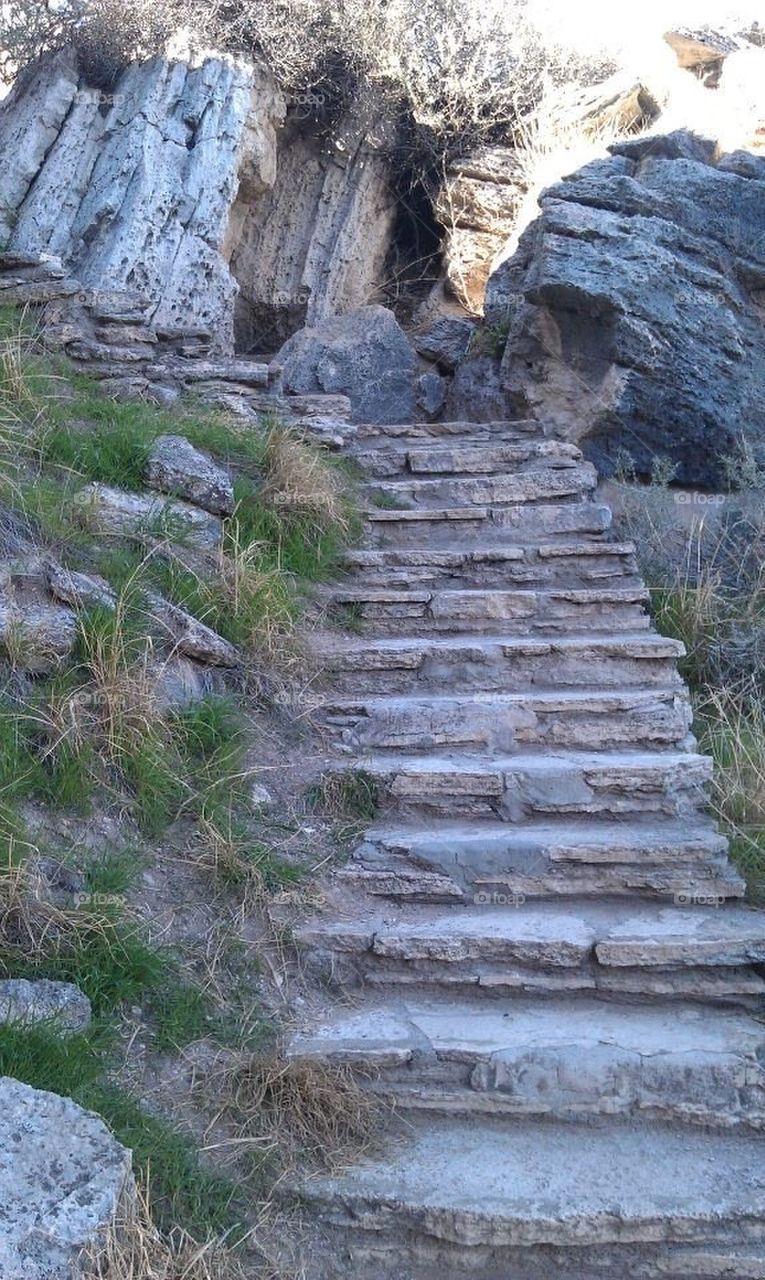 Steps 