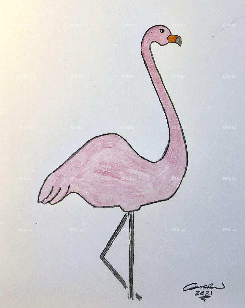 Pink Flamingo