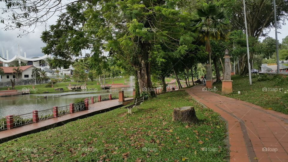 Park in tropics