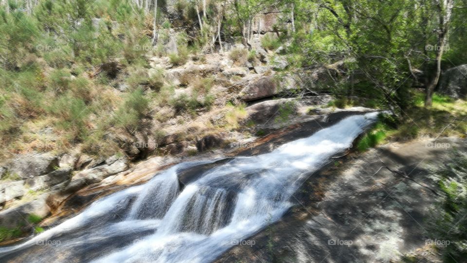 Water, Nature, River, Wood, Waterfall