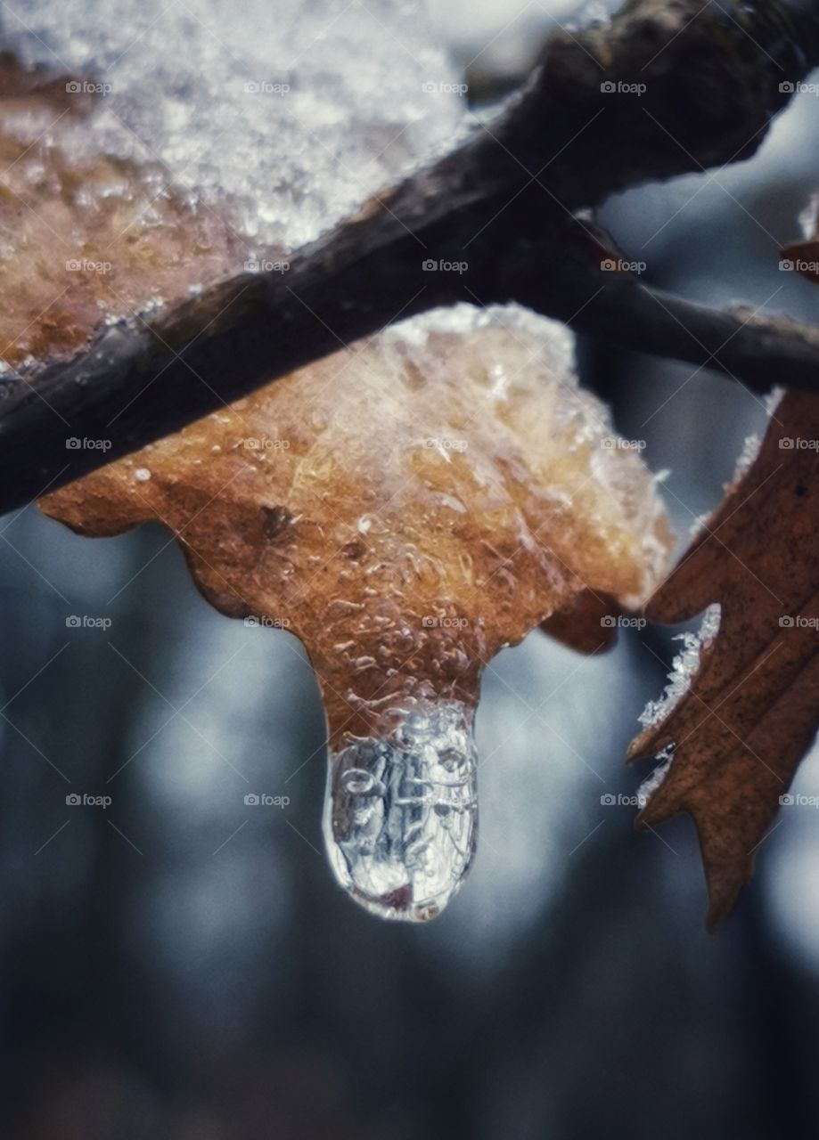 Frozen drop